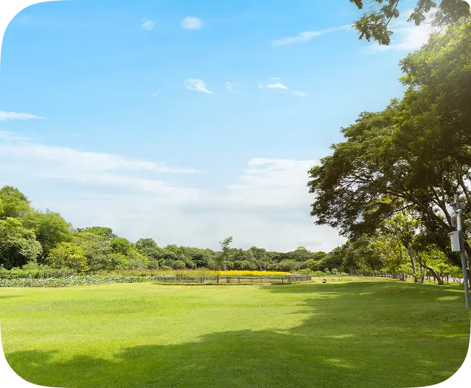 commercial_landscape