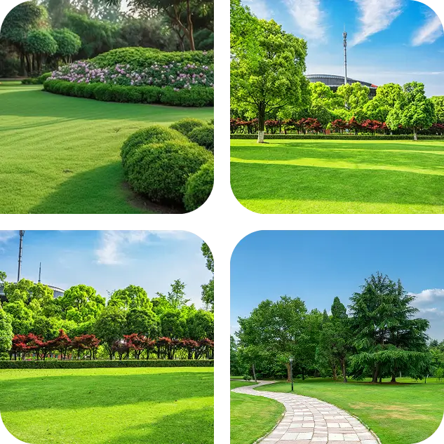 florida-property-banner